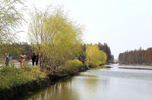 興化李中水上森林公園