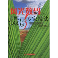 風光數碼攝影專家技法