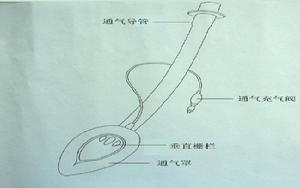 圖1喉罩通氣道的結構