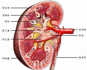 小兒腎病綜合症