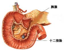 胰腺外傷