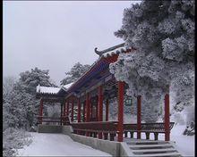 甘山雪景