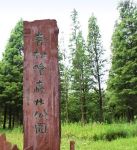 青松嶺森林公園[黑龍江省公園]