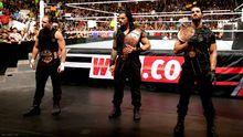 The shield