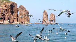 鳥島[廟島列島車由島鳥島]