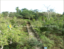 鎮南關起義遺址