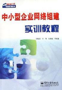 中小型企業網路組建實訓教程