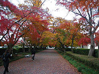 栃木県那須塩原市大山巌墓所道路