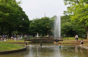 東京代代木公園