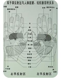 《人體經絡使用手冊》