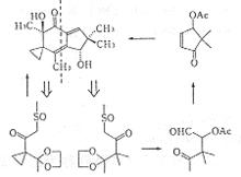 鵝膏菌多肽毒素分子結構及作用模式