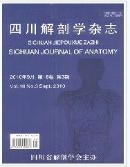 《四川解剖學雜誌》