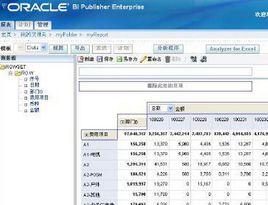 oracle erp