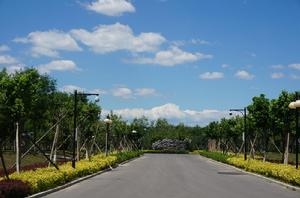 彩虹村莊養老院