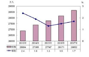 2017年農民工監測調查報告