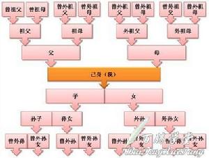 血緣關係