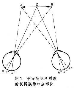 深度知覺