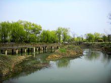 南京七橋瓮生態濕地公園