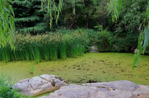 北京植物園