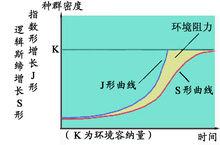 J型和S型曲線圖像