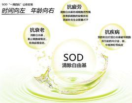 超氧化物歧化酶(SOD)