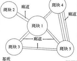 斑塊-廊道-基質模式