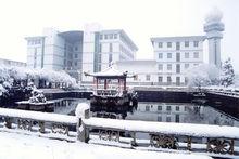 圖書館雪景