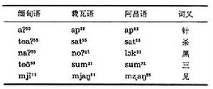 緬語支