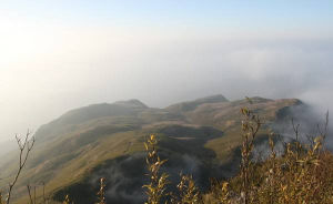 彝良大黑山