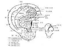 陰陽氣血失衡