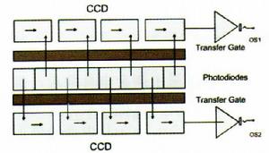 雙溝道線陣CCD