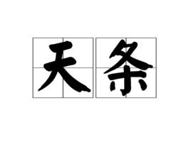 天條[詞語]