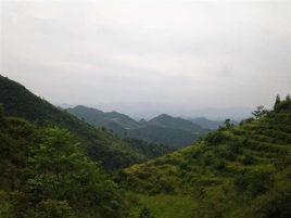 石坎村[雲南省昭通市威信縣扎西鎮石坎村]