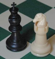 西洋大象棋