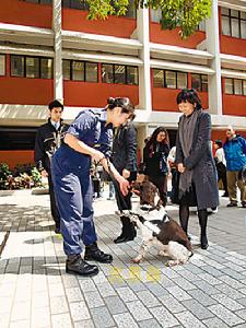 市民參觀香港警犬隊