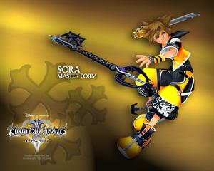 Sora ver.Master Form