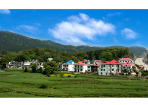 Lushan District