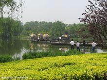 江陰黃山湖公園風景