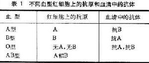 ABO血型系統