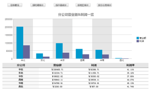 多維分析報表