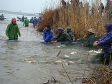 下渚湖特產