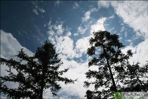 茂雲山國家森林公園