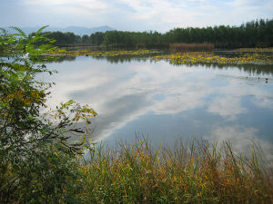 翠湖國家城市濕地公園