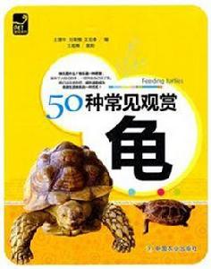 50種常見觀賞龜