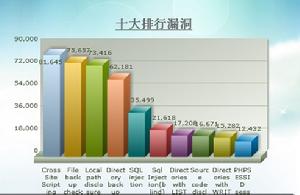 網站十大漏洞