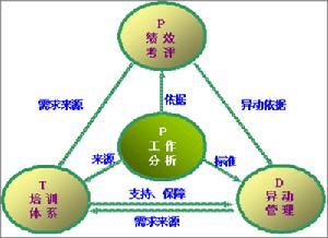 培訓發展PTD模型