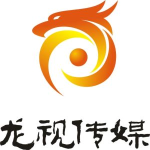 深圳市龍視傳媒有限公司