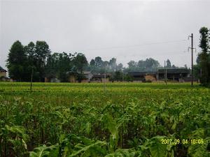 黃家山村