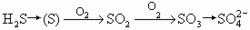 順向為硫化反應，逆向為反硫化反應。