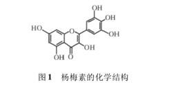 楊梅樹皮素